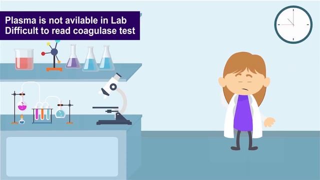 How to identify & Confirm Staphylococcus Aureus in laboratory ??? смотреть онлайн