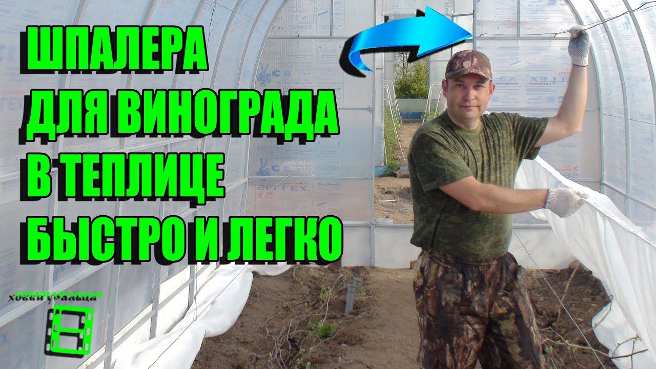 СУПЕР ШПАЛЕРА ДЛЯ ВИНОГРАДА В ТЕПЛИЦЕ БЫСТРО И ЛЕГКО. СЕВЕРНЫЙ ВИНОГРАДНИК смотреть онлайн