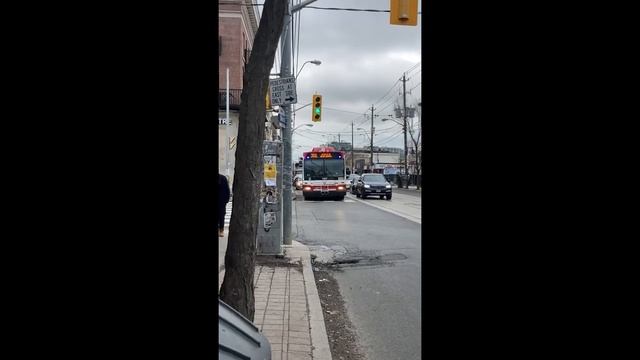TTC Various Buses West Toronto & York 1/7/2023 смотреть онлайн