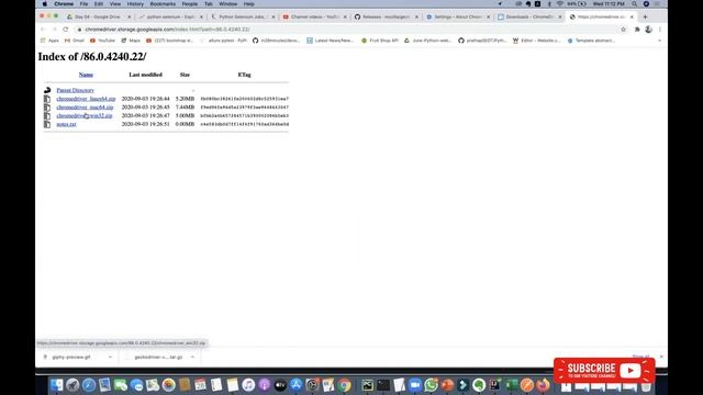 Launch Chrome browser using selenium python | Google Chrome смотреть онлайн