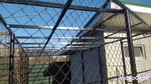 Безопасный выгул для кур #куры #курынесушки #выгул #выгулдлякур #курятникзимой #курятник