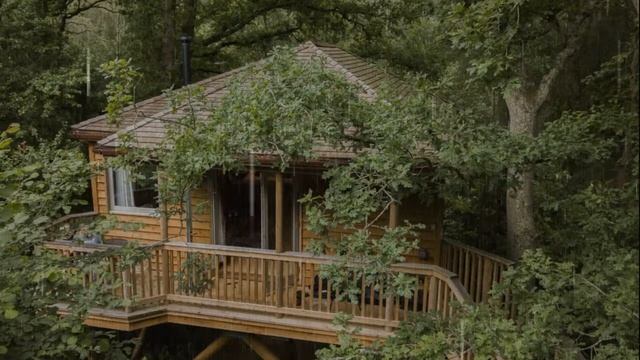 Засыпаю и начинаю мечтать, когда слушаю этот чудесный шум дождя смотреть онлайн