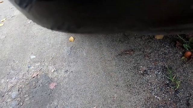 Дёргается движок 406 2.1тд смотреть онлайн