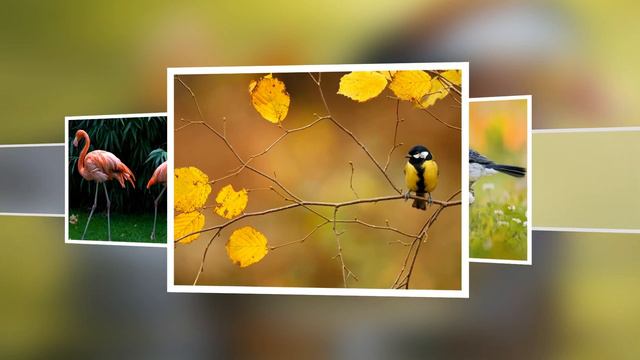 3D Стили "Элегант"- для Proshow Producer I Скачать смотреть онлайн