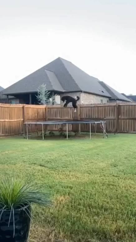 На даче после Первого сентября... смотреть онлайн