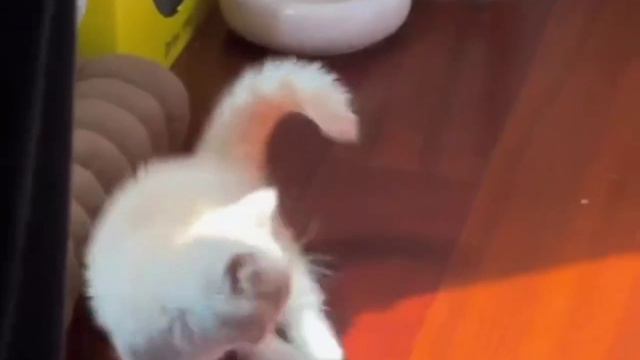 Хищник 2 смотреть онлайн