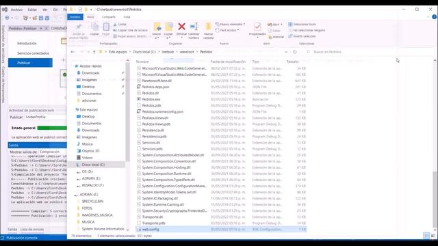 Puesta en punta de un servidor IIS y publicación de un sitio (Aplicaciones Net Framework y Core) смотреть онлайн