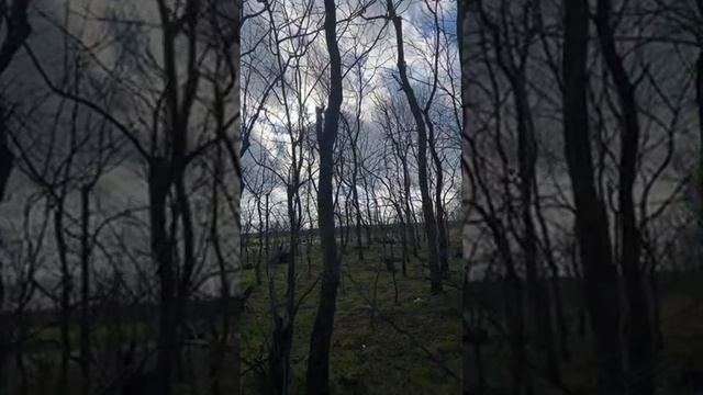 С ПЕРВЫМ ДНЁМ ЗИМЫ 😘😘😘 смотреть онлайн