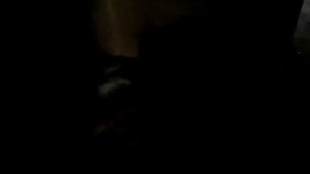 Пожар в квартире в г.Витебске по ул.Правды смотреть онлайн