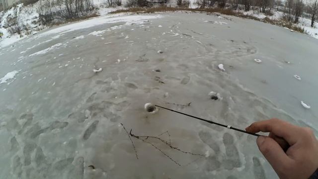 Ловля РОТАНА со льда - ГОРОДСКОЕ БОЛОТО! Первый лёд! (Часть вторая) смотреть онлайн