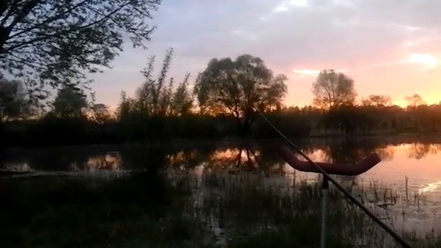 ОСТАФЬЕВО НЕРЕСТ ГАРНИЗОН -НЕКОЛЬСКОЕ КАРАСЬ смотреть онлайн