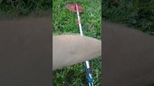 Глушитель для триммера