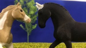 Вместе навсегда | 06 : Испытания (мини сериал шляйх)