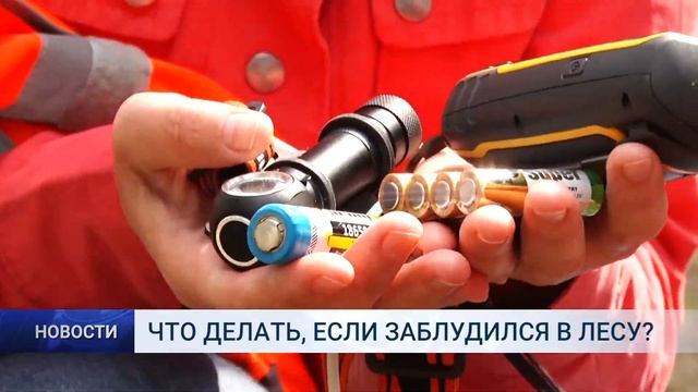 ЧТО ДЕЛАТЬ, ЕСЛИ ЗАБЛУДИЛСЯ В ЛЕСУ смотреть онлайн