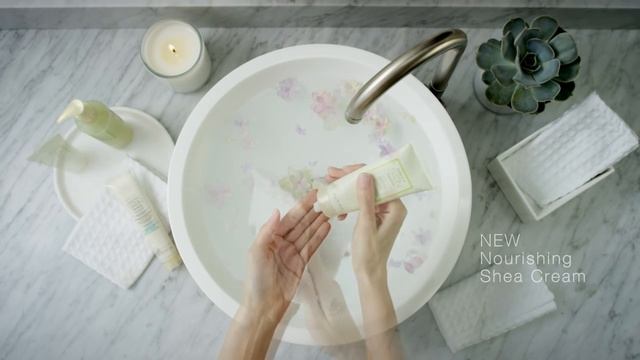 Система по уходу за кожей рук Satin Hands® «Белый чай и цитрус» смотреть онлайн