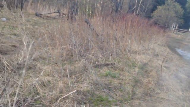 Три самодельных квадроциклов покатушки по лесу. смотреть онлайн