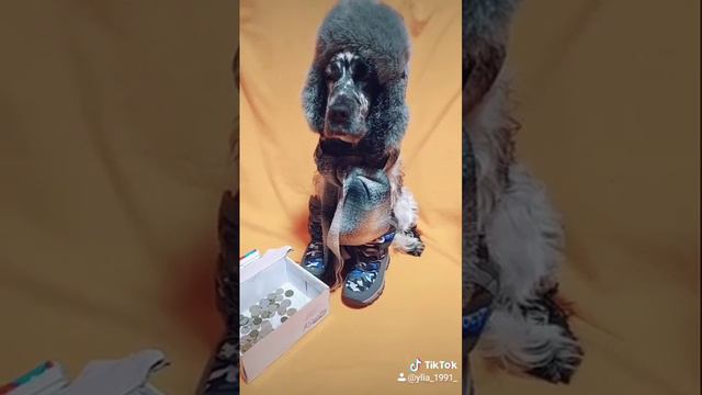 У Курского вокзала смотреть онлайн