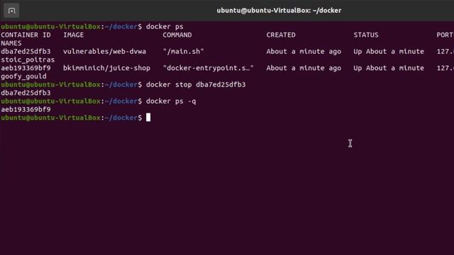 Bug Bounty and Pentesting with Docker смотреть онлайн