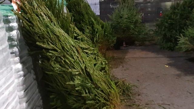 По магазинам Таллинна перед Рождеством.Сколько стоят гирлянды и ёдлочные украшения.Влог из Эстонии смотреть онлайн