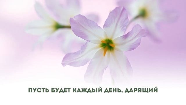 Добрый день смотреть онлайн
