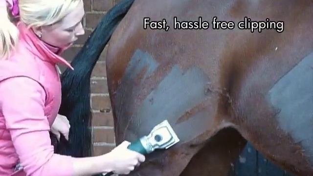 Masterclip Hunter 200w Heavy Duty Horse Clipper with Heiniger Style Blades смотреть онлайн