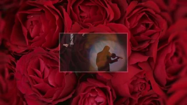 Слепой скрипач смотреть онлайн