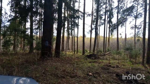 рекурсивный арбалет скорпион man-kung mk150 смотреть онлайн