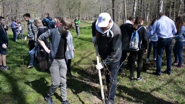 Курс на качество обслуживания населения 03.05.17 смотреть онлайн