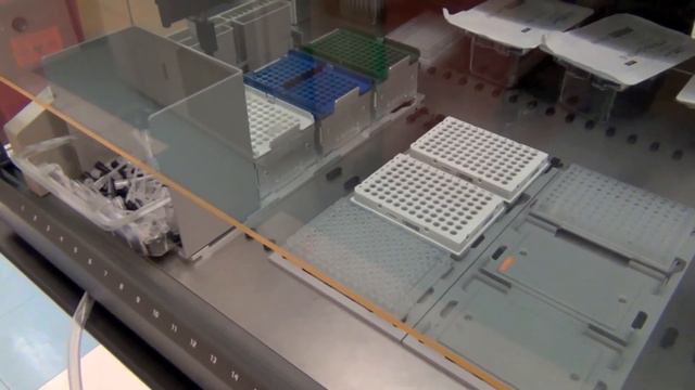 Gibson Assembly Water Test @ CIDAR Lab смотреть онлайн