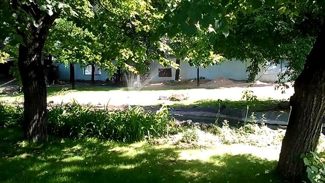 Зоопарк медляк смотреть онлайн