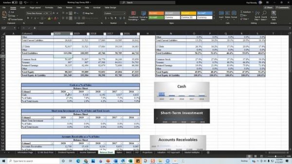 DISNEY Financial Report 2020: Financial Statements and Financial Ratio Analysis by Paul Borosky, MB