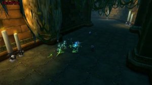 World of Warcraft - Храм Атал"Хаккара (Затонувший Храм)