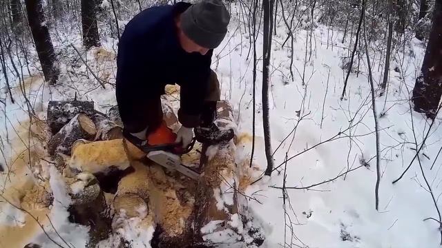 MOBILE BLOCK Caterpillar LOGGING FOREST смотреть онлайн