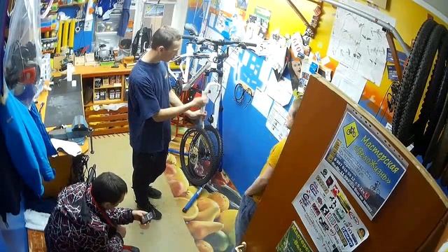 Bergamont Vitox 7.0 смотреть онлайн