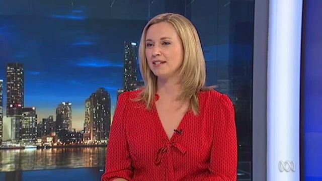 Rob Borbidge to review what went wrong with LNP election campaign смотреть онлайн