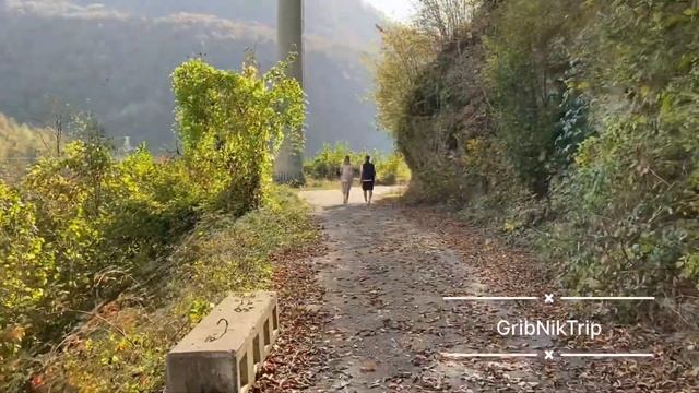 Экскурсия на Красную Поляну смотреть онлайн