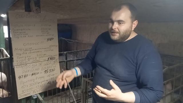⛔️Цена 1 поросёнка 900 грн❗️ Почему же мы платим больше❓️ смотреть онлайн