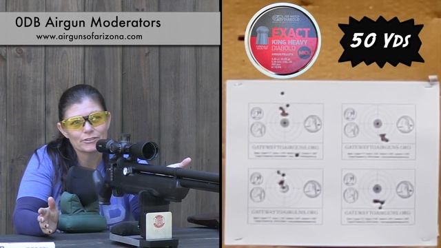 0DB Airgun Silencers - Revisiting the 0DB Range Time - Gateway to Airguns Product Testing смотреть онлайн