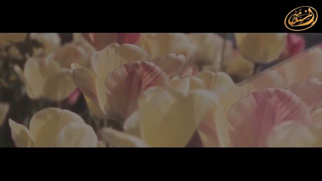 Четыре женщины, которые не войдут в Рай! смотреть онлайн