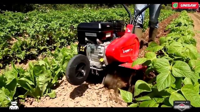 Мотокультиватор Pubert TERRO 60 BC2