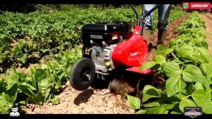 Мотокультиватор Pubert TERRO 60 BC2