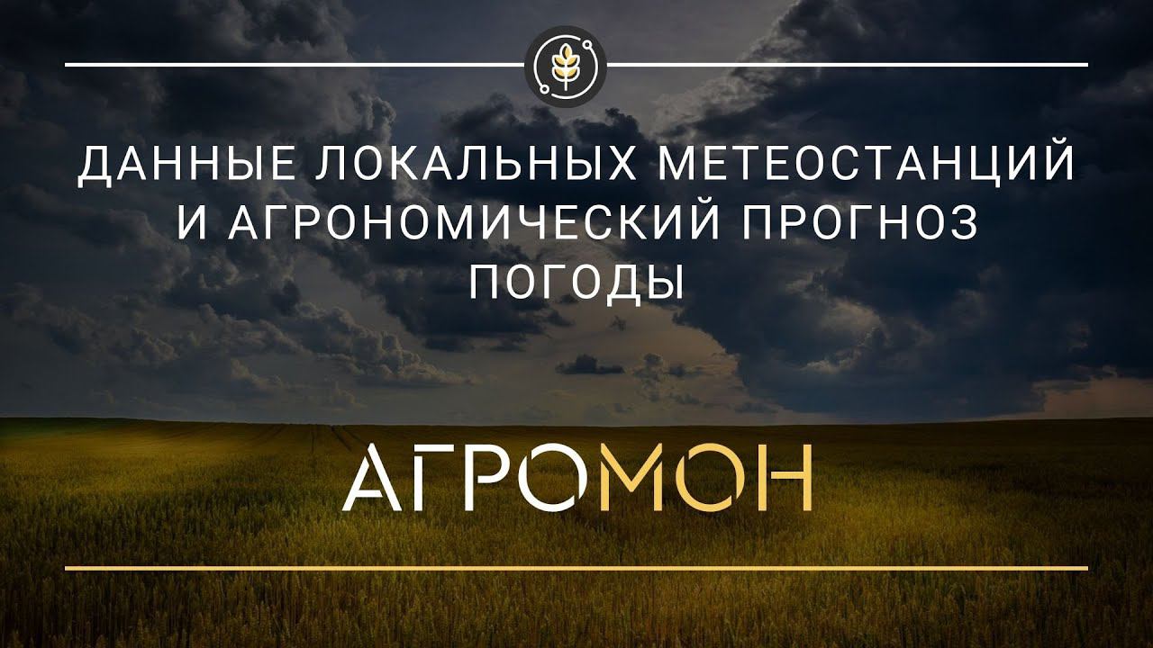 Погода смотреть онлайн