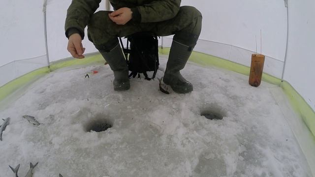 Удачная рыбалка на СИГА.Лопарский сиг.Часть II./Good fishing for whitefish.Part II. смотреть онлайн