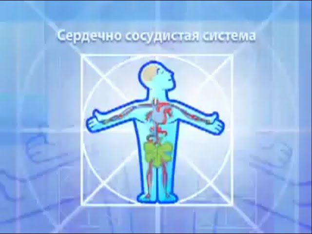 FORISE GROUP. Коэнзим Q10 - здоровье сердца и мозга. смотреть онлайн