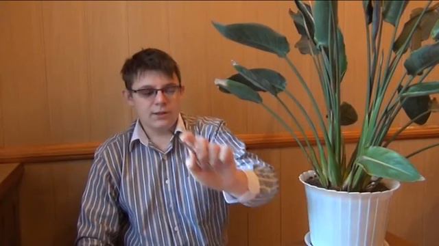 "Наука с риском для жизни или как появилась анатомия" смотреть онлайн