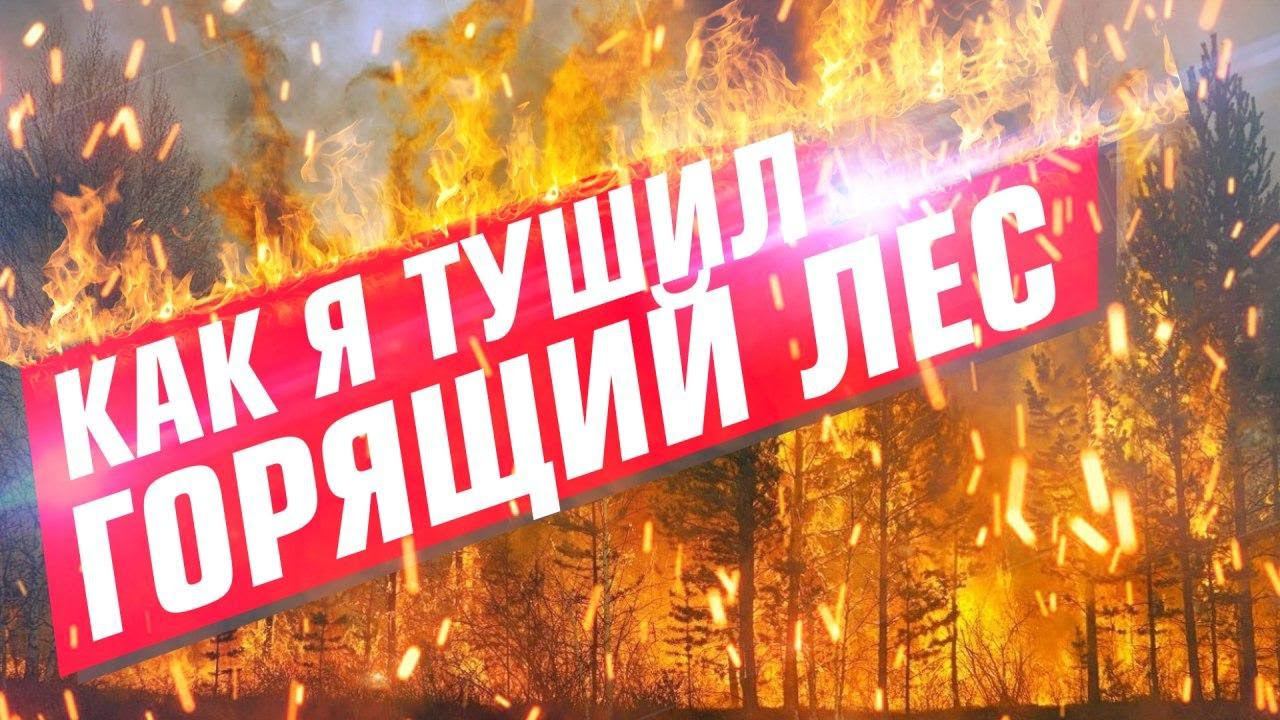 Как я тушил лесной пожар смотреть онлайн