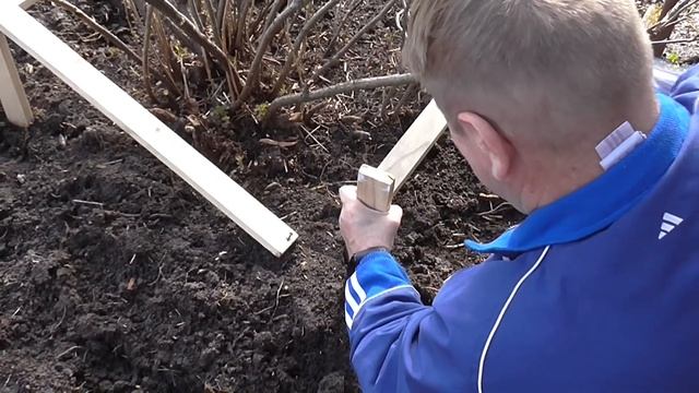 Будущий бизнес на смородине Опоры для куста Красота mp4 смотреть онлайн