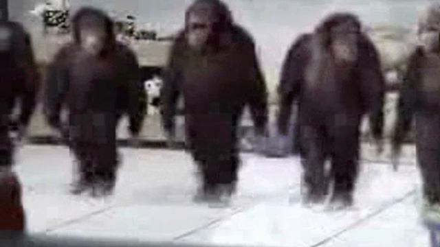Me and the boys cranking that Yamaha DGX-640 Portable Grand смотреть онлайн