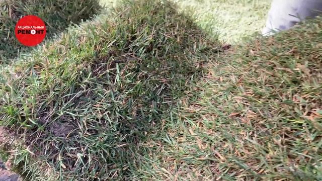 Укладка рулонного газона. Как правильно укладывать рулонный газон. Мастер-класс от эксперта смотреть онлайн