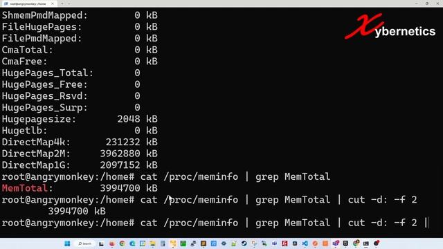 cat, grep, cut, sed and awk to get data about your system - Linux смотреть онлайн